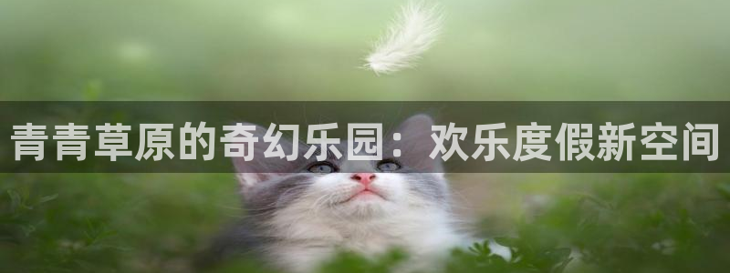 超凡国际下载app